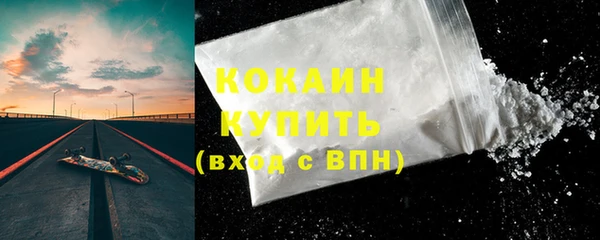 тгк Пересвет