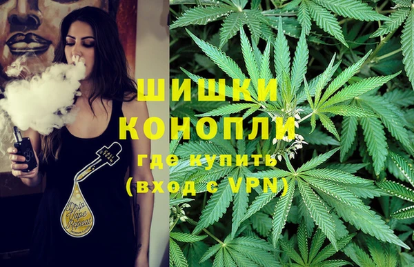 меф Арсеньев