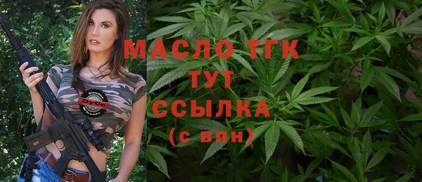 тгк Пересвет