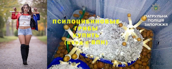 тгк Пересвет